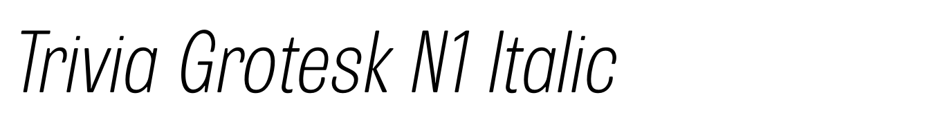 Trivia Grotesk N1 Italic